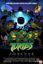 Watch Teenage Mutant Ninja Turtles Turtles Forever M4ufreemovies