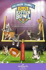 Watch Kitten Bowl II M4ufreemovies