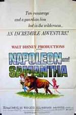 Watch Napoleon and Samantha M4ufreemovies