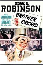Watch Brother Orchid M4ufreemovies