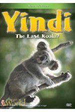 Watch Yindi the Last Koala M4ufreemovies