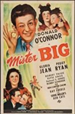 Watch Mister Big M4ufreemovies