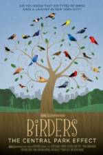 Watch Birders The Central Park Effect M4ufreemovies