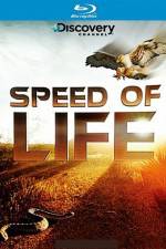 Watch Speed of Life M4ufreemovies