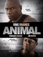 Watch Animal M4ufreemovies