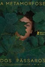 Watch The Metamorphosis of Birds M4ufreemovies