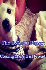 Watch The £60,000 Puppy: Cloning Man's Best Friend M4ufreemovies