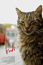 Watch Kedi M4ufreemovies