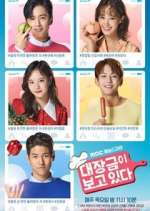 Watch Dae Jang Geum Is Watching M4ufreemovies