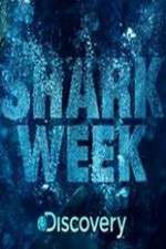 Watch Shark Week M4ufreemovies