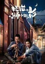 Watch The Lion's Secret M4ufreemovies