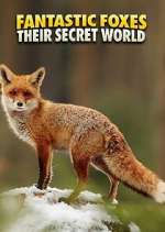 Watch Fantastic Foxes: Their Secret World M4ufreemovies