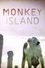 Watch Monkey Island M4ufreemovies