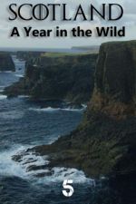Watch Scotland: A Wild Year M4ufreemovies