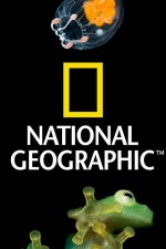 Watch Nat Geo Amazing! M4ufreemovies