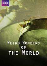 Watch Weird Wonders of the World M4ufreemovies