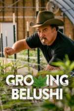 Watch Growing Belushi M4ufreemovies