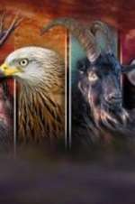 Watch Wales: Land of the Wild M4ufreemovies