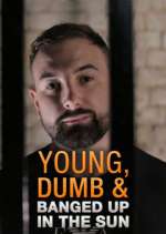 Watch Young Dumb & Banged Up in the Sun M4ufreemovies