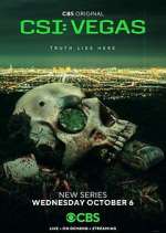 Watch CSI: Vegas M4ufreemovies