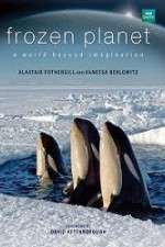 Watch Frozen Planet M4ufreemovies