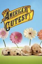 Watch America's Cutest M4ufreemovies