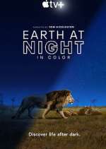 Watch Earth At Night In Color M4ufreemovies
