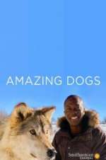 Watch Amazing Dogs M4ufreemovies