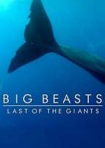 Watch Big Beasts: Last of the Giants M4ufreemovies