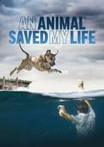 Watch An Animal Saved My Life M4ufreemovies