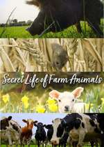 Watch Secret Life of Farm Animals M4ufreemovies