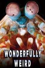 Watch Wonderfully Weird M4ufreemovies