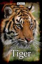 Watch Lost Land of the Tiger M4ufreemovies