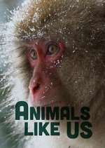Watch Animals Like Us M4ufreemovies