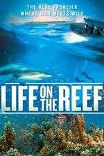 Watch Life on the Reef M4ufreemovies