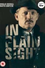 Watch In Plain Sight M4ufreemovies
