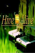 Watch Hive Alive M4ufreemovies