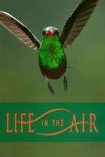 Watch Life in the Air M4ufreemovies
