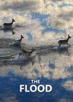 Watch The Flood M4ufreemovies