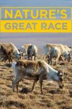 Watch Nature's Great Race M4ufreemovies
