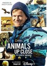 Watch Animals Up Close with Bertie Gregory M4ufreemovies