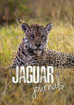 Watch Jaguar Journals M4ufreemovies
