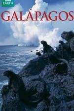 Watch Galapagos M4ufreemovies