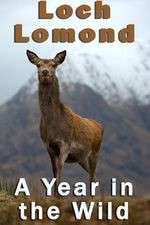 Watch Loch Lomond: A Year in the Wild M4ufreemovies