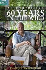 Watch Attenborough 60 Years in the Wild M4ufreemovies