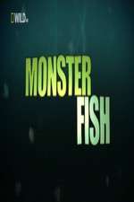 Watch National Geographic Monster Fish M4ufreemovies