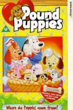Watch Pound Puppies M4ufreemovies