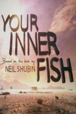 Watch Your Inner Fish M4ufreemovies