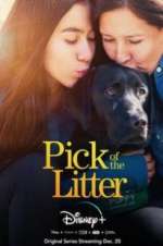 Watch Pick of the Litter M4ufreemovies