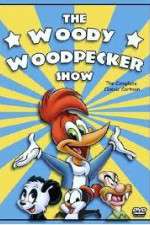 Watch The Woody Woodpecker Show M4ufreemovies